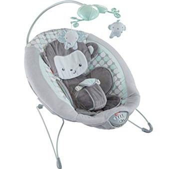 Sweet Surroundings Monkey Deluxe Bouncer Discount