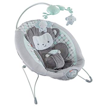 Sweet Surroundings Monkey Deluxe Bouncer Discount