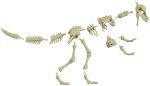 Jurassic World Fossil Strikers Stygimoloch Figure For Discount