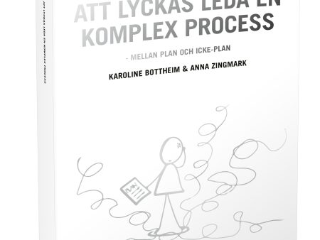 Att lyckas leda en komplex process Hot on Sale