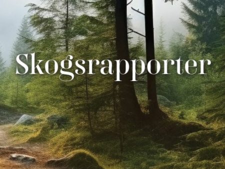 Skogsrapporter on Sale